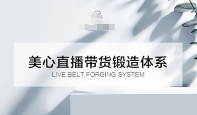 直播带货锻造体系课，5G时代美心一站式帮你开启直播带货之路【音频】-一支黑兰州