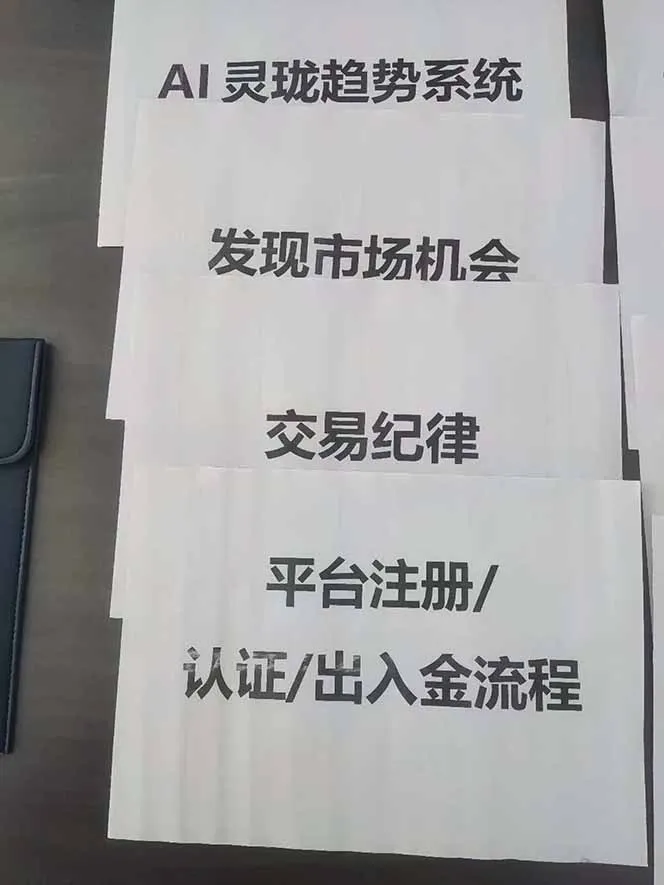 图片[3]-海外美金AI掘金项目，200U可入门槛，一天一单即可，每天1000-2000很轻松！-一支黑兰州