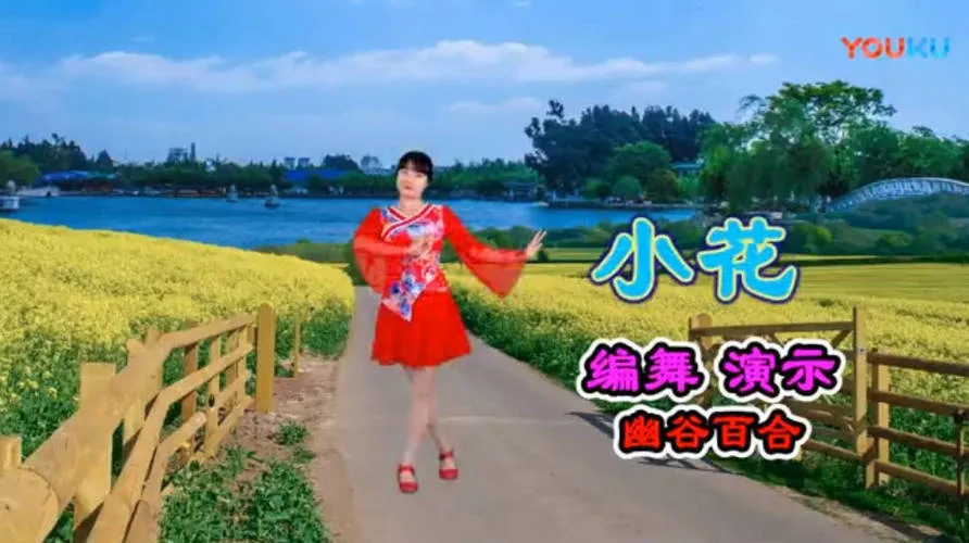 精选高清广场舞视频教学合集500首 精选高清广场舞视频教学合集500首