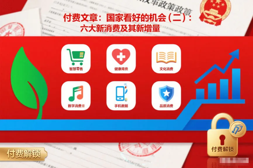 付费文章：国家看好的机会(二)：六大新消费及其新增量-一支黑兰州