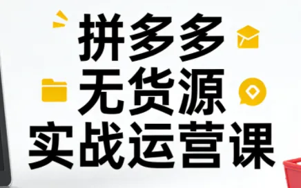子枫老师·拼多多无货源实战运营课(更新12月)-一支黑兰州