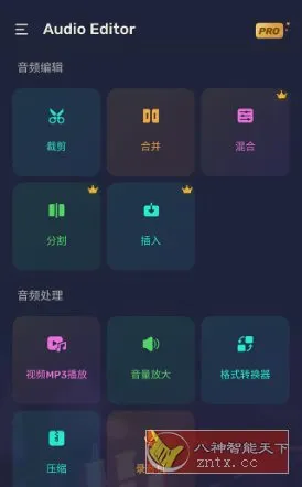 Audio Editor Pro Pro音频编辑器v2.01.20.1024专业版-一支黑兰州