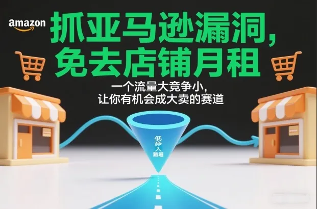 抓亚马逊漏洞，免去店铺月租，一个流量大竞争小，让你有机会成大卖的赛道-一支黑兰州