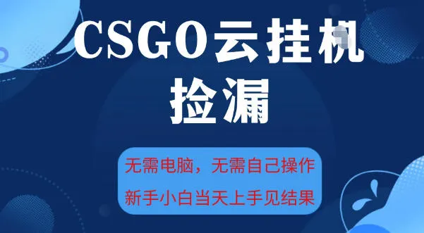 CSGO云挂G全自动捡漏,最新独家玩法,无需电脑操作,新手小白日入5张+【揭秘】-一支黑兰州